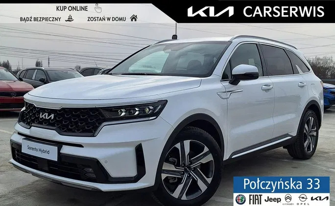 kia sorento Kia Sorento cena 247890 przebieg: 2, rok produkcji 2023 z Myślibórz